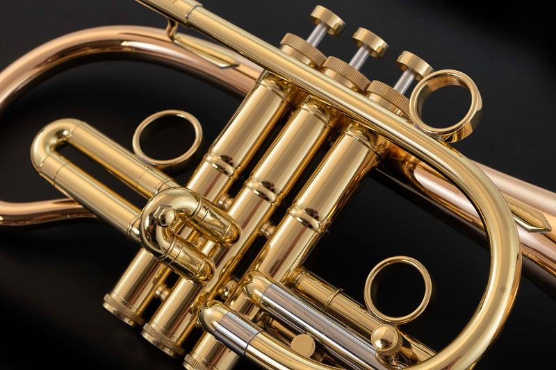 Taylor Orpheus Bb Cornet