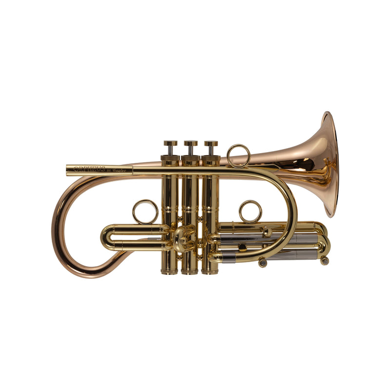 Taylor Orpheus Bb Cornet