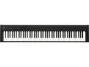 Korg D1 Digital Piano