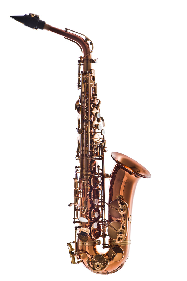 Leblanc LAS711DL Alto Ssxophone