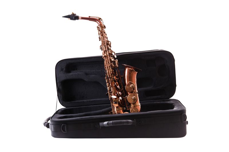 Leblanc LAS711DL Alto Ssxophone