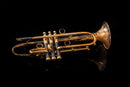 Taylor Nemesis Bb Trumpet