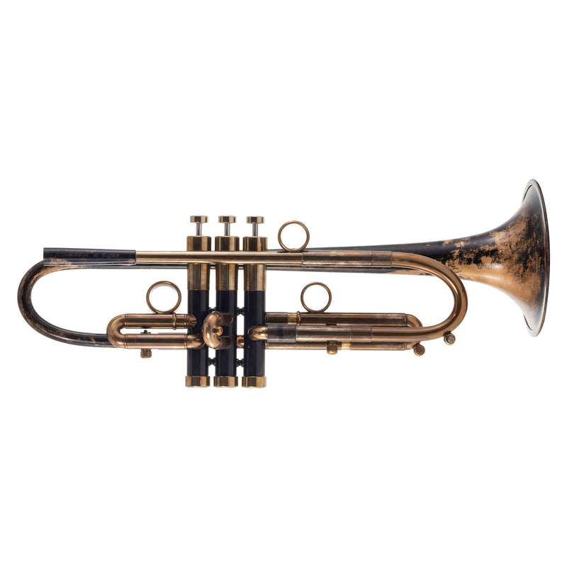 Taylor Nemesis Bb Trumpet