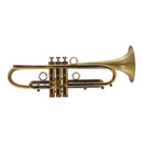 Taylor Piranha Bb Trumpet