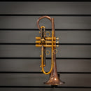 Taylor Bb Ballad Horn