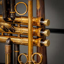 Taylor Bb Ballad Horn