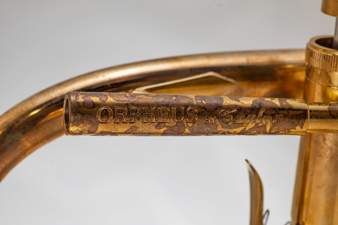 Taylor Orpheus Bb Cornet