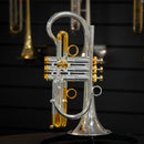 Taylor Orpheus Bb Cornet
