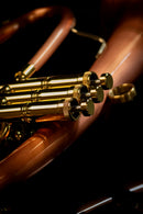 Taylor  Phat Boy 'Signature' Bb Flugel Horn