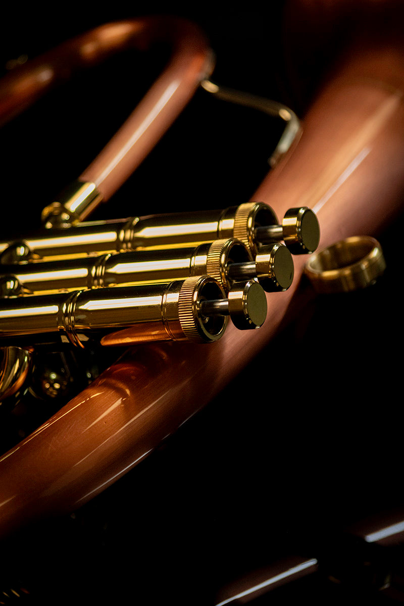 Taylor  Phat Boy 'Signature' Bb Flugel Horn