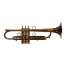 Taylor Tornado Bb Trumpet