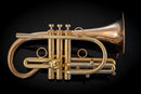 Taylor Trophy Custom Bb Cornet