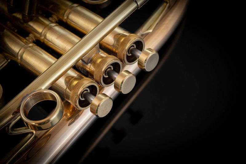 Taylor Trophy Custom Bb Cornet