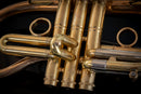 Taylor Trophy Custom Bb Cornet