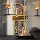 Taylor Trophy Custom Bb Cornet