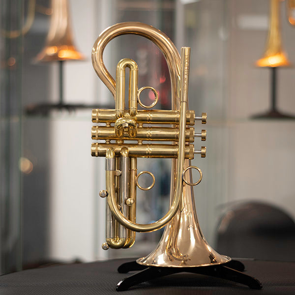 Taylor Trophy Custom Bb Cornet