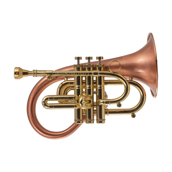 Taylor Phat Puppy Bb Flugel Horn