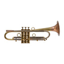 Taylor Tornado Bb Trumpet