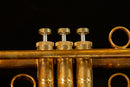 Taylor Tornado Bb Trumpet