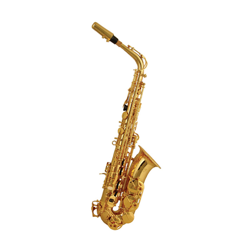 Elkhart 100AS Alto Saxophone