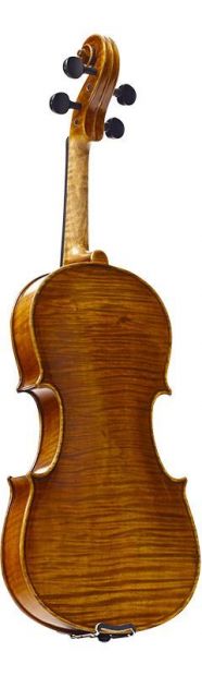 Stentor Master Violin - 4/4