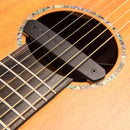 Vintage 'JG' Gordon Giltrap Signature Electro-Acoustic Guitar, Mahogany (with Bag)