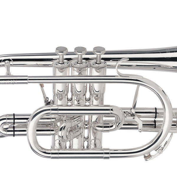 Best professional cornet deals