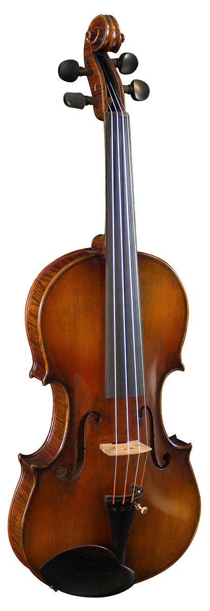 Hidersine Venezia Finetune Violin Outfit (Antique Finish) - 4/4