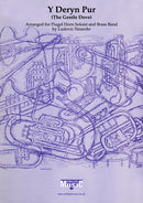 Y Deryn Pur (Flugel Solo) - Parts & Score